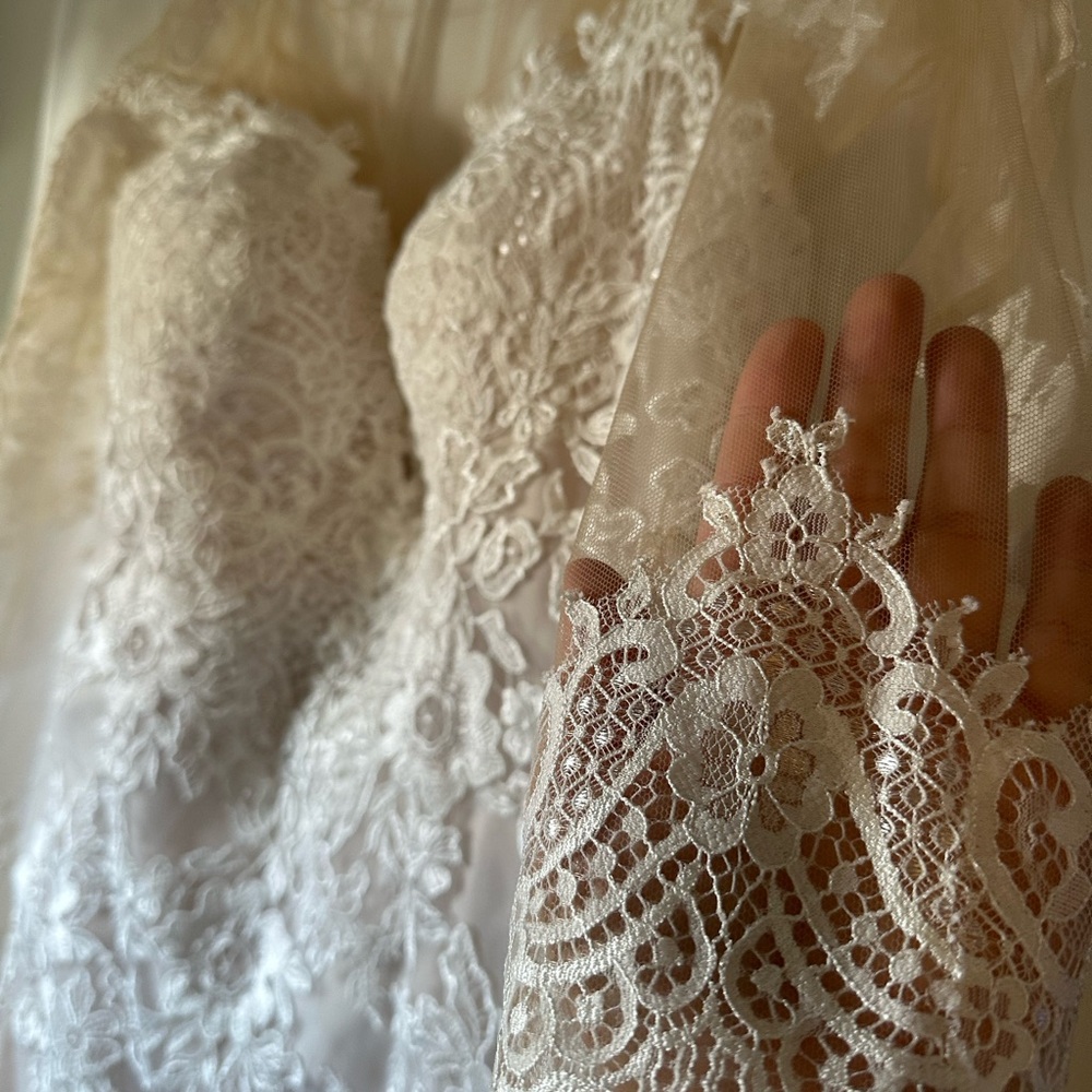 Blush Cream Lace Long Sleeve Dress